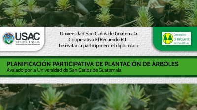Planificación participativa de la plantación de árboles